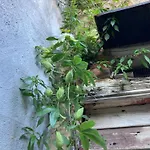 Casa Di Pietra Castelnuovo di Val di Cecina