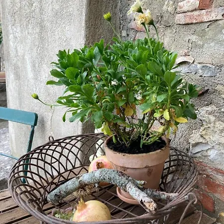Casa Di Pietra Сasa de vacaciones *