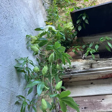 Casa Di Pietra Castelnuovo di Val di Cecina
